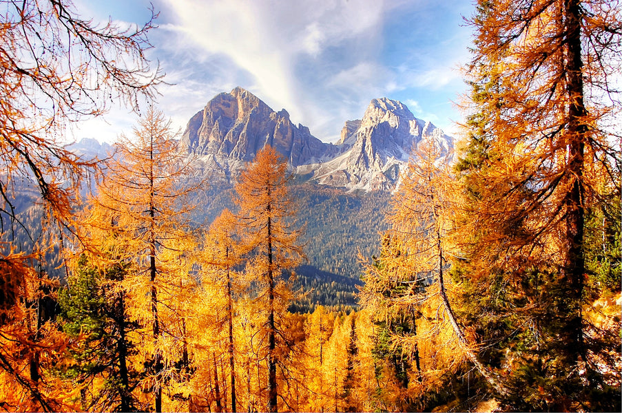10 Tips and Tricks for Autumn Landscape Photography
